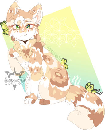 Warrior Cat Custom 2